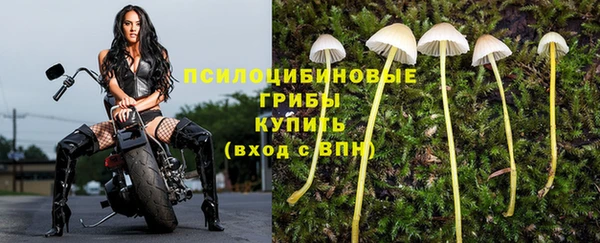 каннабис Белокуриха