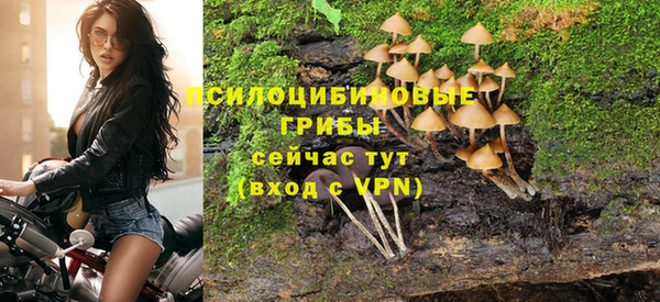 каннабис Белокуриха