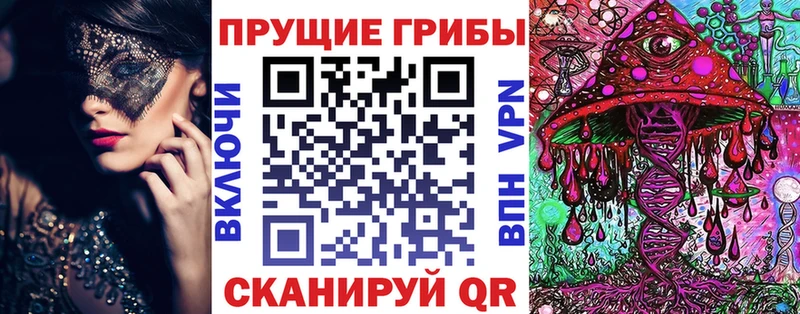 блэк спрут как зайти  Вязники  Галлюциногенные грибы Cubensis 