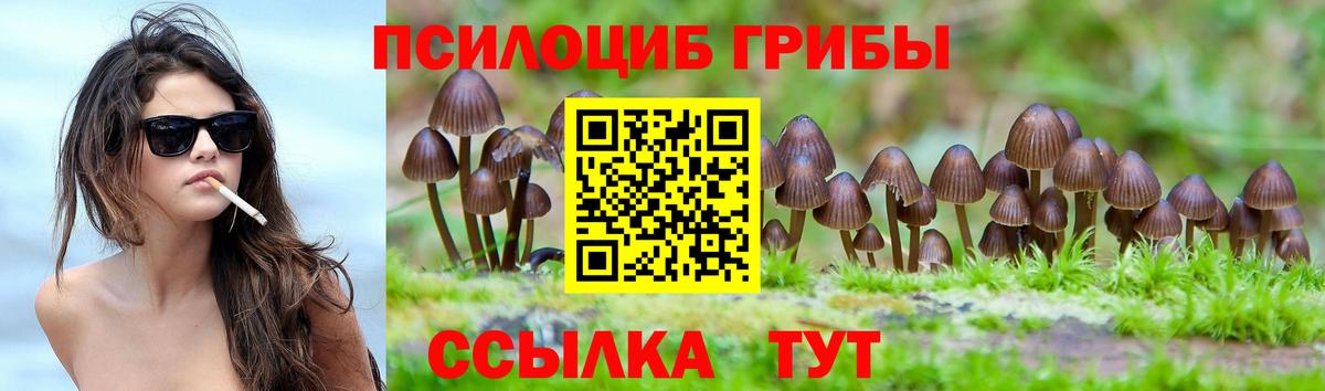 Псилоцибиновые грибы ЛСД  Вход с VPN  Вязники  Псилоцибиновые грибы Psilocybine cubensis 
